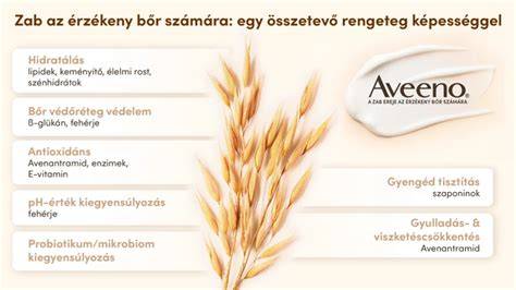 Infografika: Kutyaszőr és bőr ápolásának alapelvei
