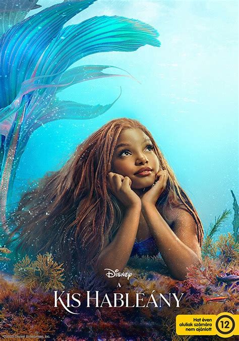 Hableány hajóroncs kiemelése