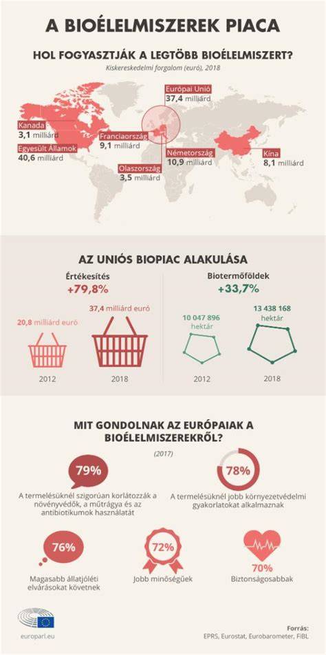 Infografika: Invisibobble termékek széles kínálata