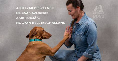 kutya és ember haja a lábon