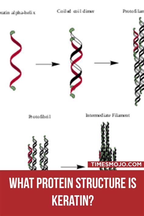 keratin hajápolási rendszer diagram