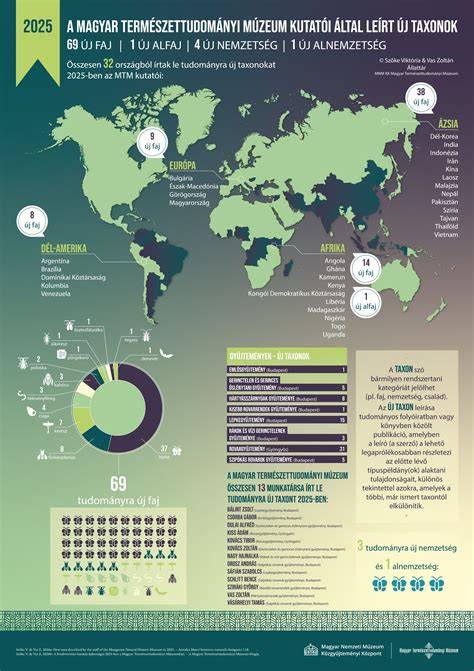 1. Infografika:
