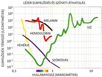 Diagram: kontraszt és melaninnal történő fényelnyelés kapcsolata