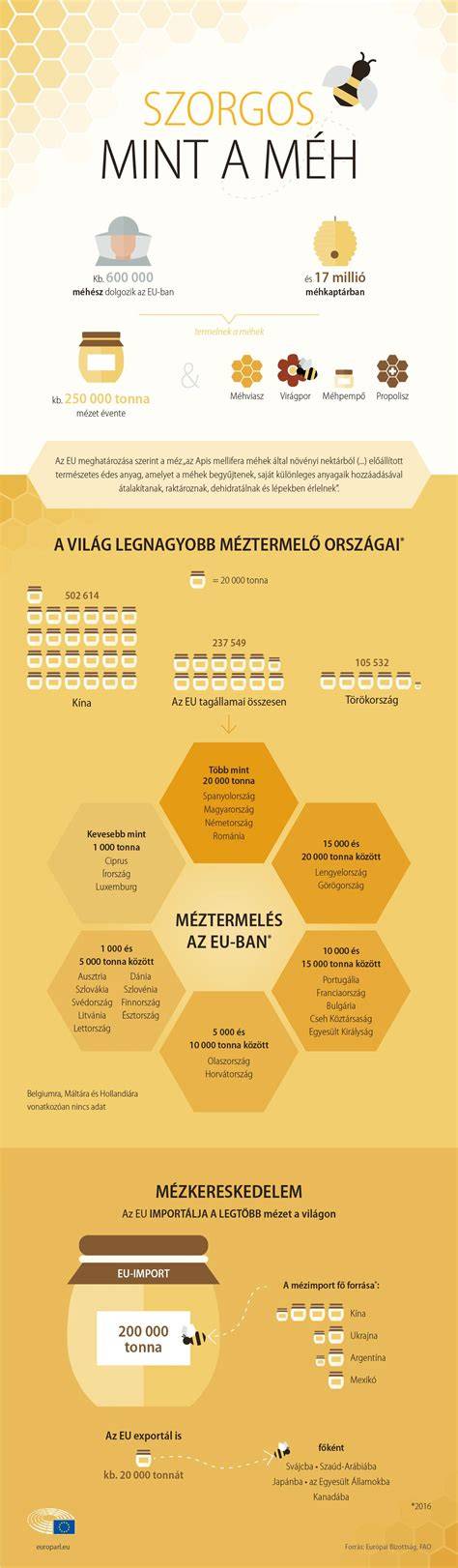 Infografika a No Poo módszerek főbb típusairól
