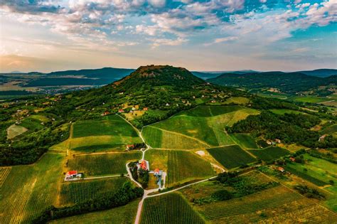 Infografika: Balaton-felvidéki borvidék elhelyezkedése és Feind Borászat telepítése
