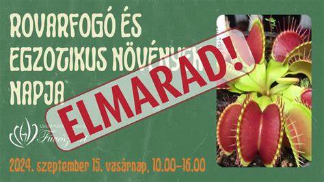 rovarfogó-novenyek-elemek