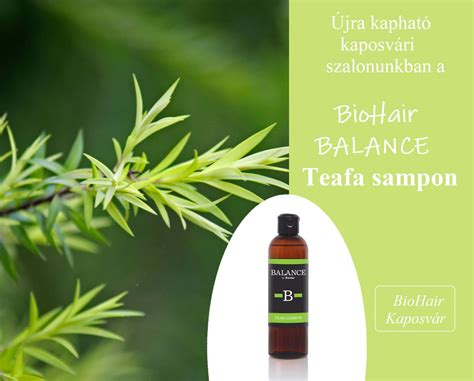 BioHair szalonok elhelyezkedése