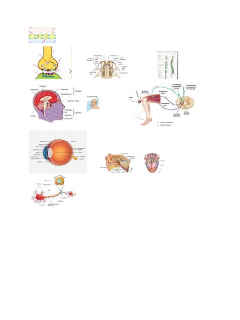 Hőmérséklet szabályozás ikon