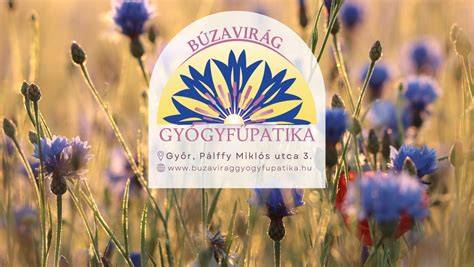 ABM gomba és gyógyászati hatás