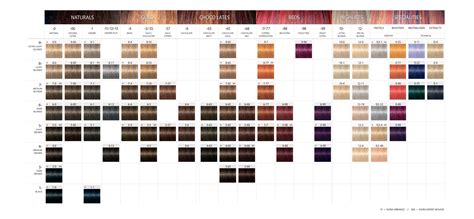 Schwarzkopf Professional IGORA Royal hajfesték paletta