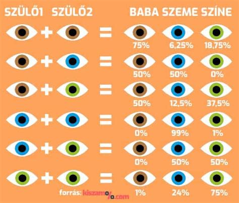 Kutatási diagram: Génmeghatározás és szemszín öröklődése