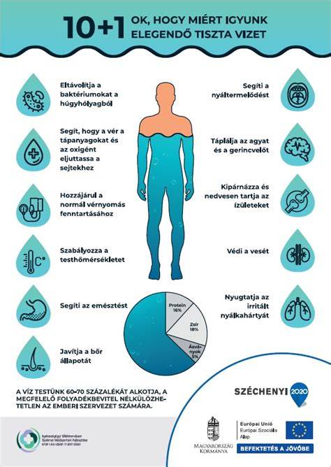 Infografika: lépések a hidratáltság fenntartásához a hajápolási rutinban