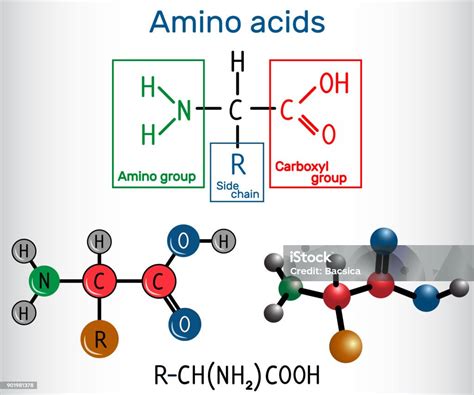 Aminosavak és keratin szerkezete