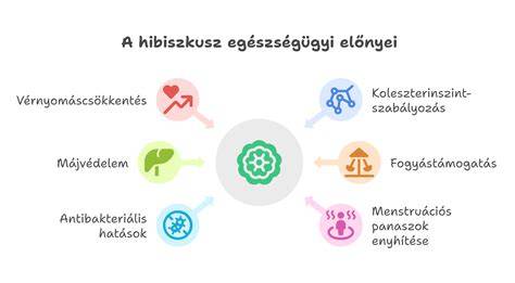 Infografika a Kőszegi szépség- és egészségügyi szolgáltatások hálózatáról