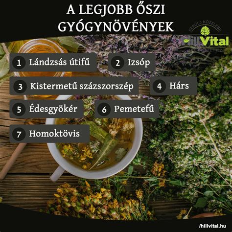 Bőrproblémák és gyógynövények