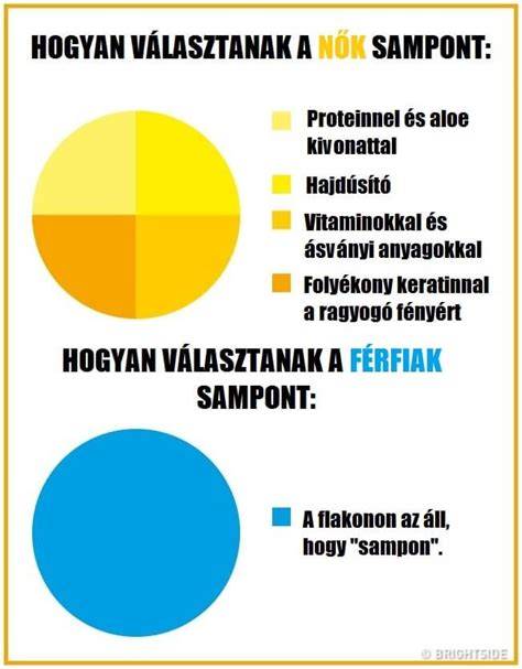 Infografika: Hidratálás és kondicionálás közti különbség