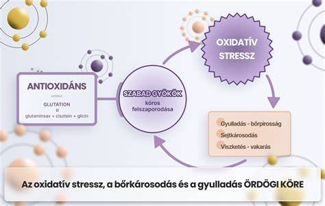 oxidatív stressz elleni védelem