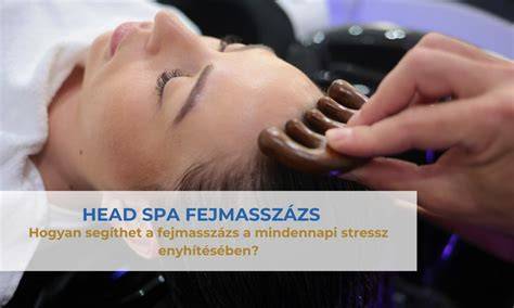 head spa fejbőr egészség infographic