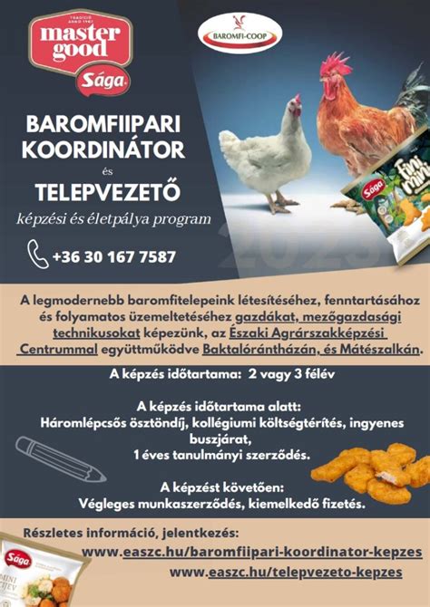 Reprezentatív kép egy baromfiipari feldolgozó üzemről