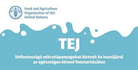 Infografika a jojóeffektusról és a testkép hatásairól