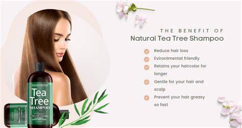 illustration of tea tree oil shampoo benefits