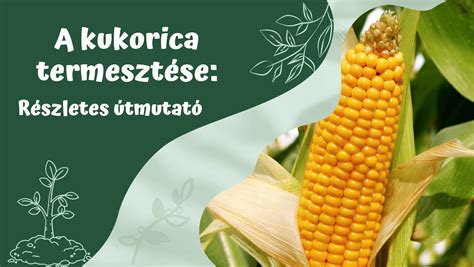 Különböző repedésfajták szemléltetése