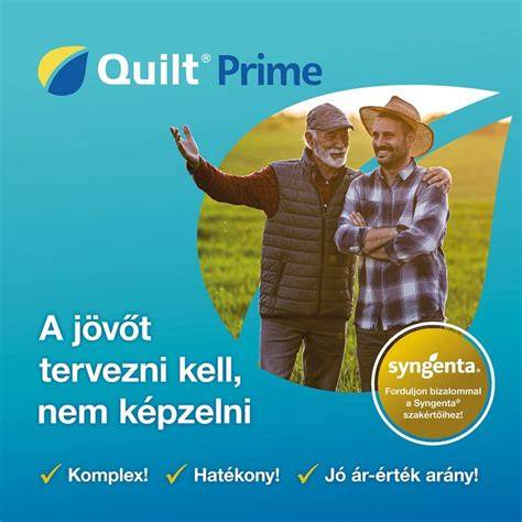 Infografika: Hatékonyság és ár-érték arány a kedvező árú szempillaspirálok között