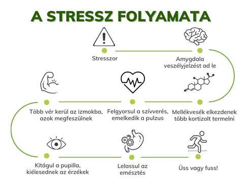 fejbőr gyógyulás ábra