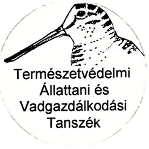 Farkas-tájkép: a falkák területvédő viselkedése és vadgazdálkodási jelentősége