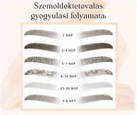 Infografika: Szemöldök tetoválás gyógyulási folyamata