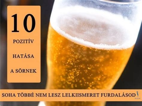 A sör összetevői és hatása a hajra