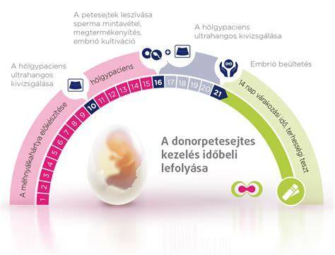 infografika a meddőség és IVF összefüggéseiről