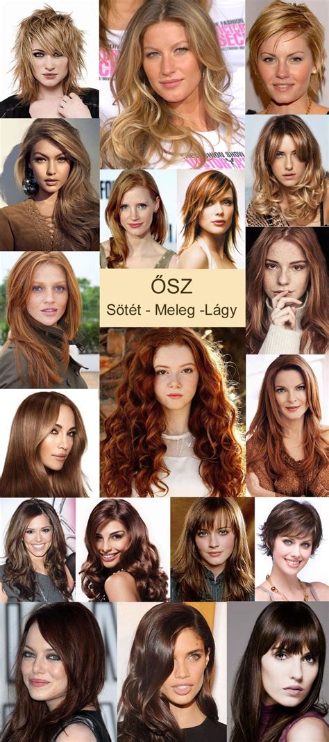 Különböző ősz hajszínek