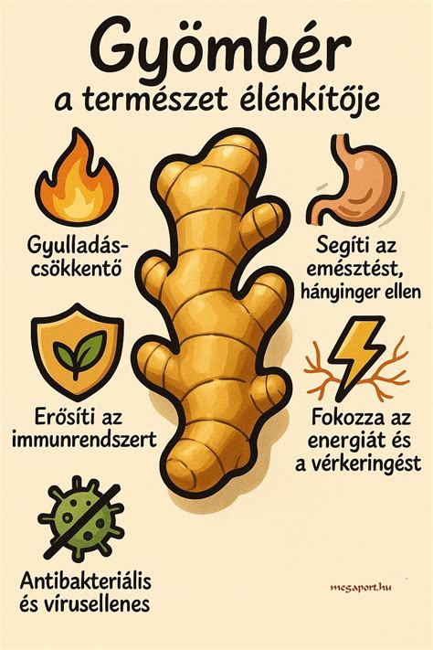 Infografika: a hajmosás megfelelő technikája és a gyakoriság hatásai