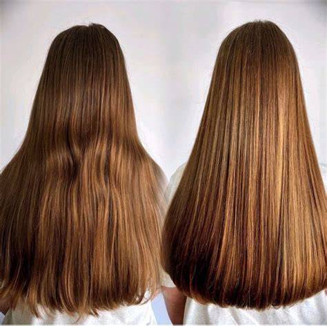 longhair hajápolási útmutató vizuális ábra