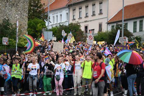 ellerőszínű Pride képek elemzése (téma az elfogadás)