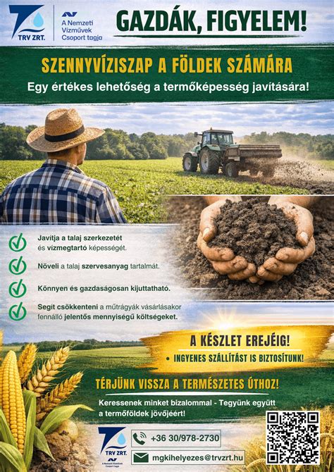 Infografika: A szőrlabdák kockázatának csökkentése étrenddel és keféléssel