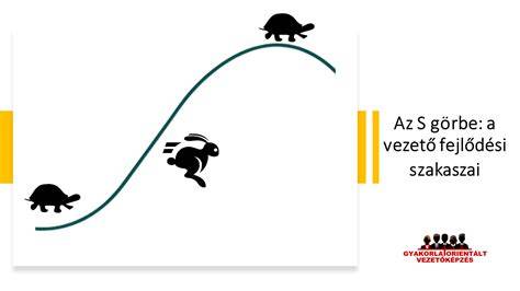 búzaföld és növekedési görbe infografika