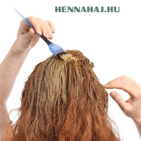 Hajfestés lépései