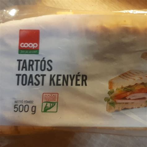 karkoto-osszefoglalo-tartos-kapcsok
