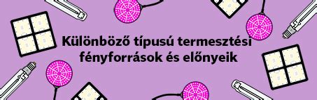 Különböző típusú hajhabok