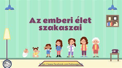 Az emberi hajszál növekedésének szakaszai