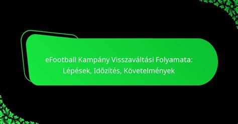 Festési lépések: tincselés, felvitel, időzítés