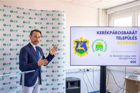Korrekt szakállfestés és szalonban történő kivitelezés