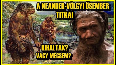 ősember koponyája szemöldökcsonttal
