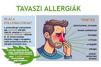 infografika a hajfesték allergia eljárásáról