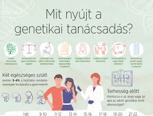 Infografika a hajszín genetikai hátteréről