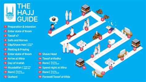 Diagram a haj színezésének típusairól