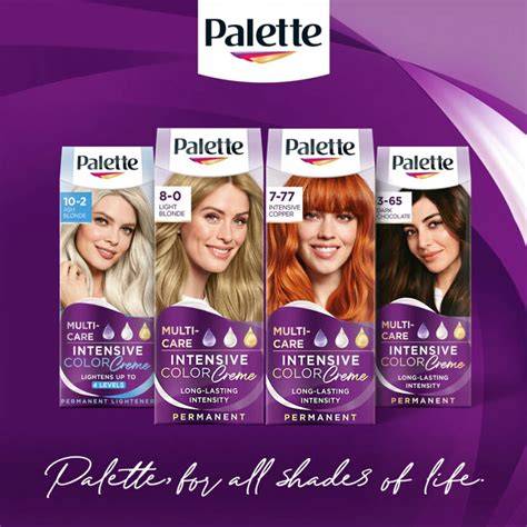 Infografika: Palette Intensive Color Creme fő előnyei és összetevői
