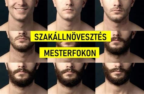 ápolt szakáll világos kontúrok infografika